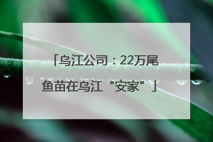 乌江公司：22万尾鱼苗在乌江“安家”